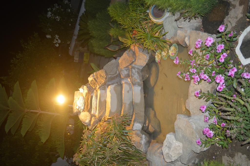 Pension Sofia パロス島 エクステリア 写真